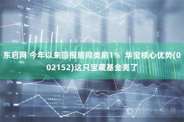东启网 今年以来回报居同类前1%  华宝核心优势(002152)这只宝藏基金亮了