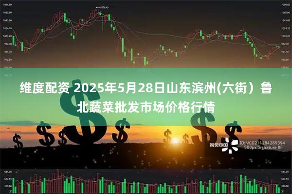 维度配资 2025年5月28日山东滨州(六街）鲁北蔬菜批发市场价格行情