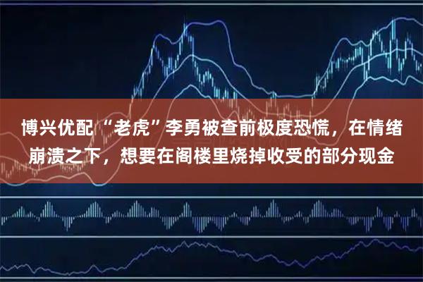 博兴优配 “老虎”李勇被查前极度恐慌，在情绪崩溃之下，想要在阁楼里烧掉收受的部分现金