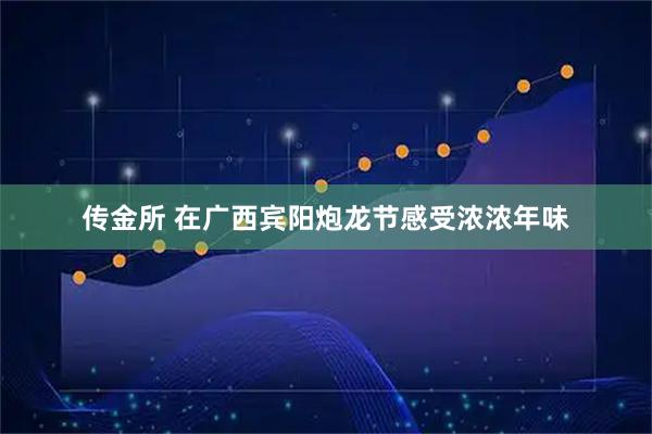 传金所 在广西宾阳炮龙节感受浓浓年味